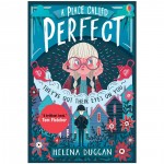 Usborne A Place Called Perfect